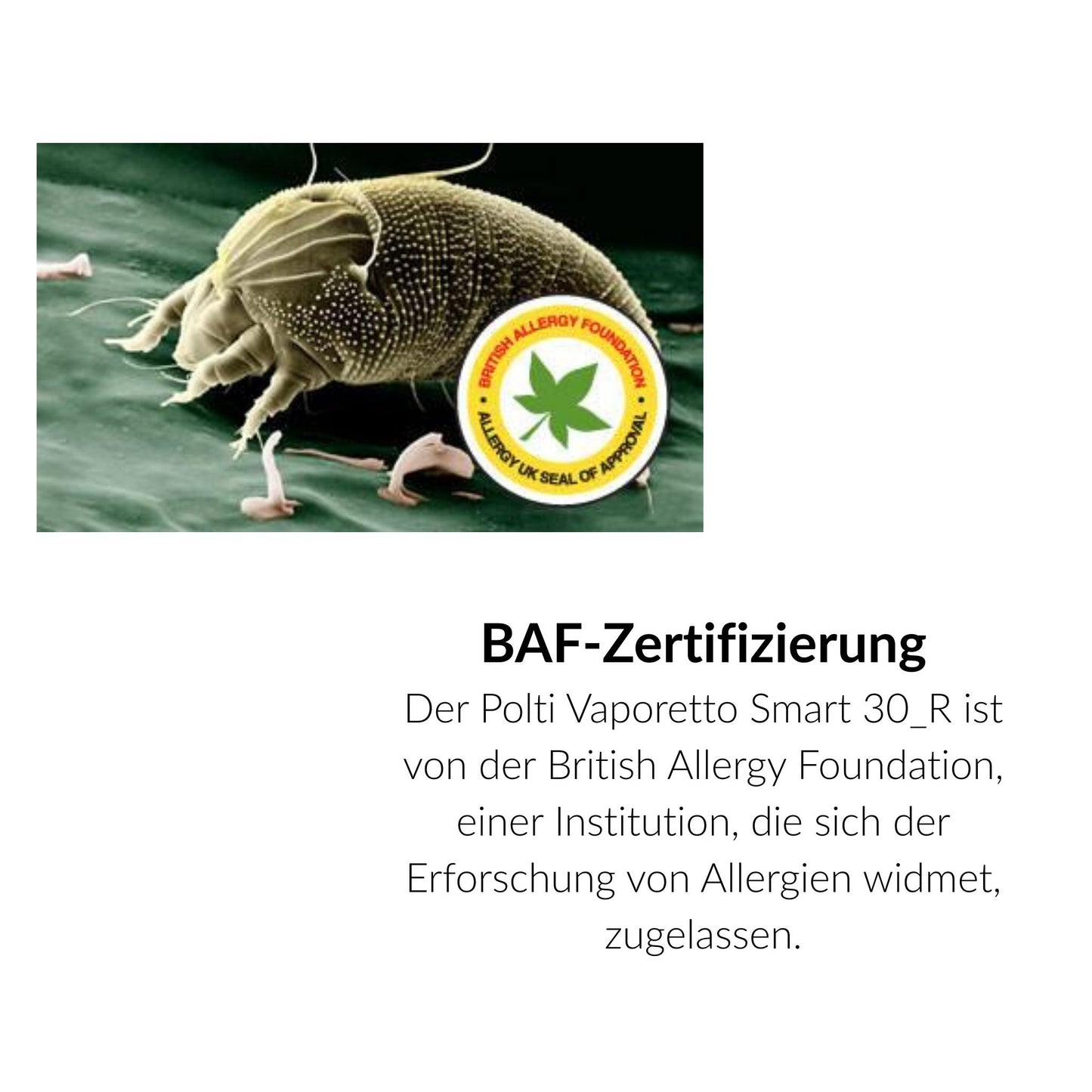 POLTI - Dampfreiniger Vaporeta SMART 30R 3 bar 1500 W 1800 W (1,6 L) 10