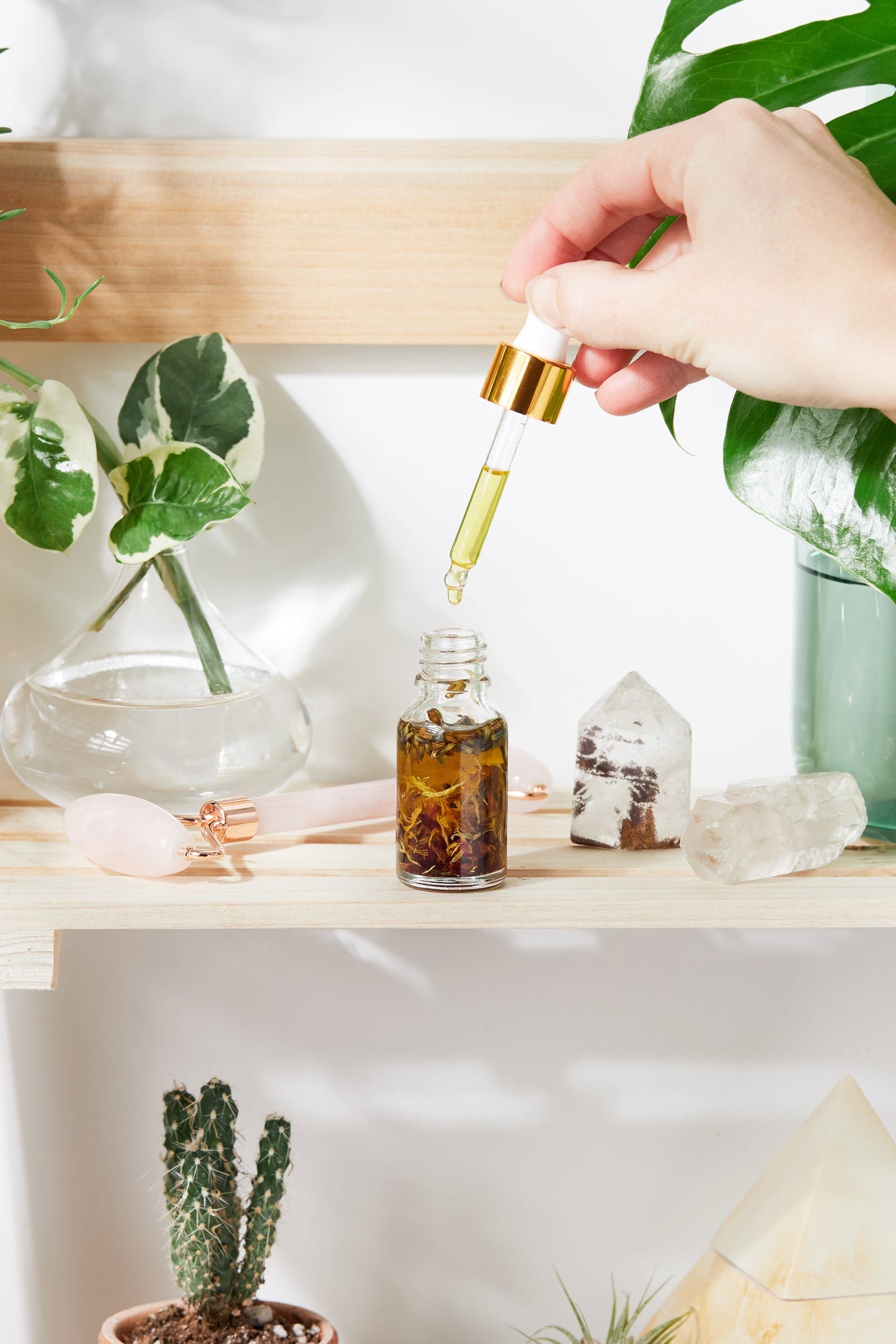 Bio Anti-Aging Gesichtsserum – Mit Hagebutte, Lavendel & wertvollen Ölen 2