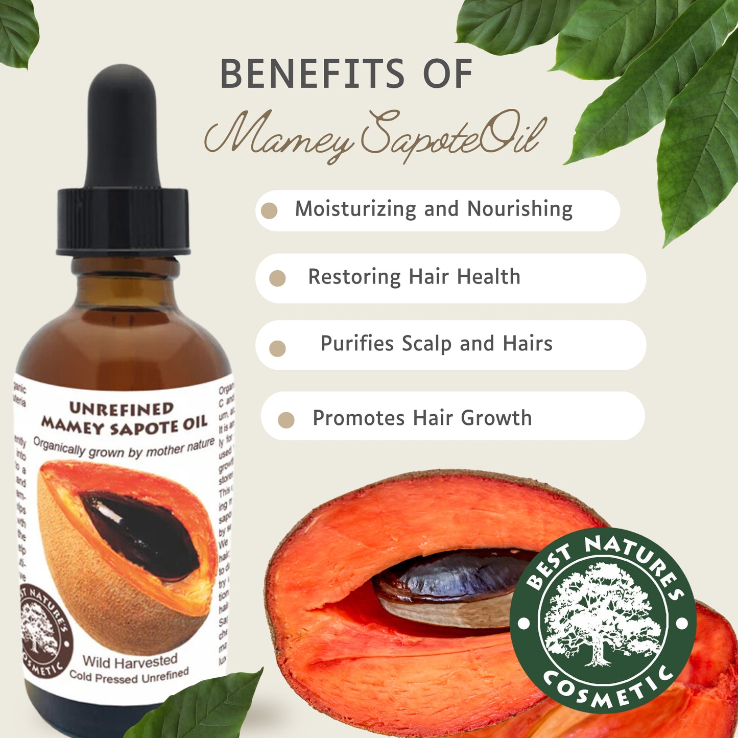 Best Nature´s Cosmetic - Mamey Sapote Öl (Sapuyulo) – Bio, Kaltgepresst & Unraffiniert 6