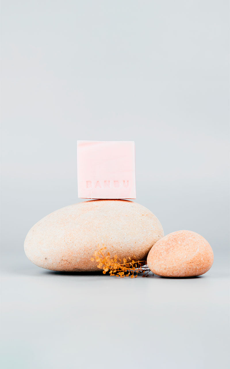 BAMBU - Festes Duschgel Empathy 100g - Blumiger Rosenduft Vegan 2