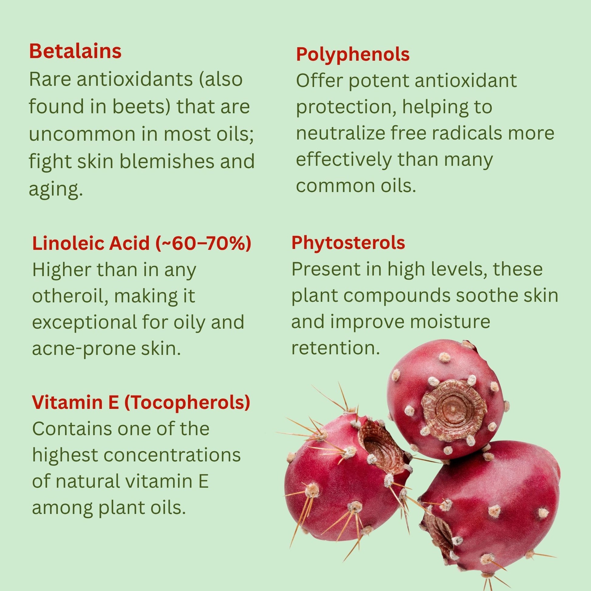 Best Nature´s Cosmetic - Kaktusfeigenkern Öl Bio - Kaltgepresst & Unraffiniert 4