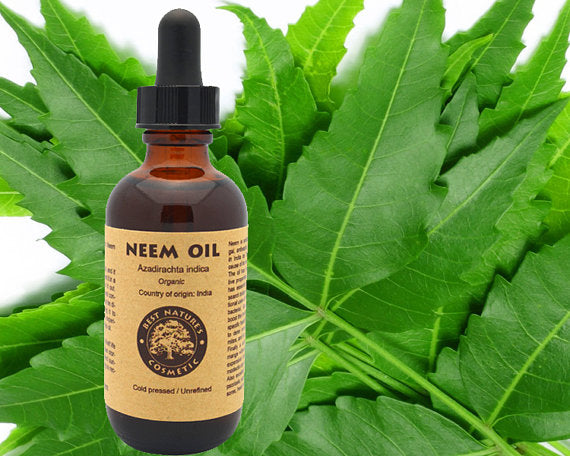 Best Nature´s Cosmetic - 100% Reines Neem Öl Bio, Unverdünnt 1
